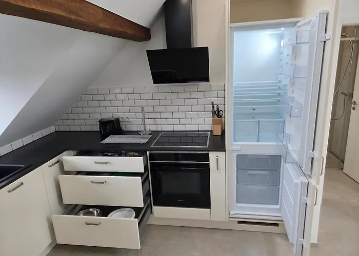 شقة 2025 Renovated 1br Loft In Lux-belair *