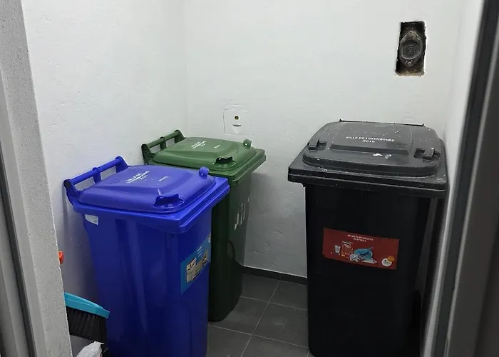 公寓 2025 Renovated 1br Loft In Lux-belair *